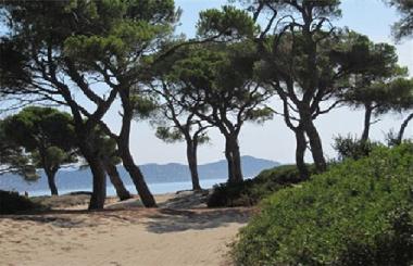 Ferienwohnung in SHINIAS (Attiki) oder Ferienwohnung oder Ferienhaus