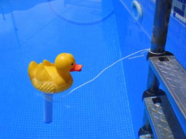 Wassertemperatur zwischen 23� (Mai) -  29� ( im Hochsommer) Die Ente wartet schon auf Sie !