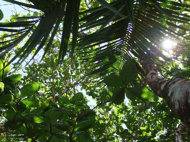 Ferienhaus in Horquetas (Heredia) oder Ferienwohnung oder Ferienhaus