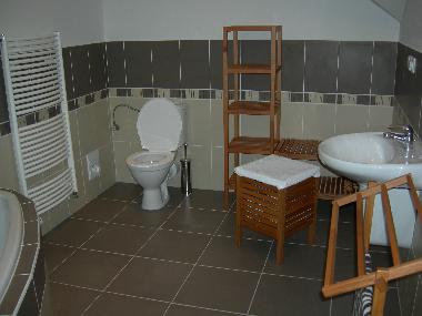 Villa in Lipno nad Vltavou (Budejovicky Kraj) oder Ferienwohnung oder Ferienhaus