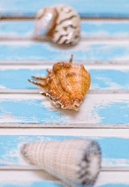 Ferienhaus in Cape Town (Western Cape) oder Ferienwohnung oder Ferienhaus