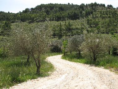 Villa in n/a (Ragusa) oder Ferienwohnung oder Ferienhaus