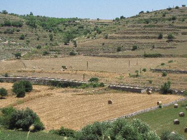 Villa in n/a (Ragusa) oder Ferienwohnung oder Ferienhaus