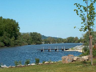Blck auf den Anlege-/Badesteg am Altwasser der Donau 