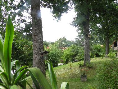  Garten-Panorama in leichter Hanglage