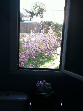 Ferienwohnung in Santiago compostela (A Corua) oder Ferienwohnung oder Ferienhaus