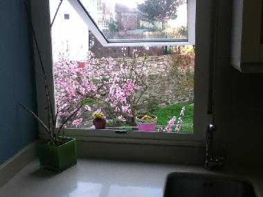 Ferienwohnung in Santiago compostela (A Corua) oder Ferienwohnung oder Ferienhaus