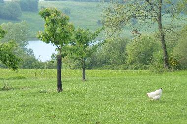 Ferienhaus in LAVIT DE LOMAGNE (Tarn-et-Garonne) oder Ferienwohnung oder Ferienhaus