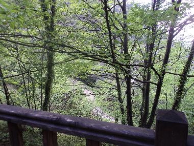 Ferienhaus in Nice (Alpes-Maritimes) oder Ferienwohnung oder Ferienhaus