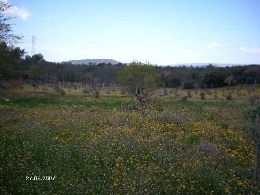 Ferienwohnung in Apt (Vaucluse) oder Ferienwohnung oder Ferienhaus