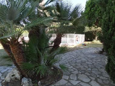 Ferienwohnung in vauvert (Gard) oder Ferienwohnung oder Ferienhaus