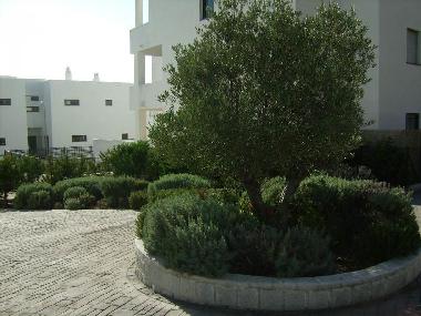 Ferienwohnung in Conil (C�diz) oder Ferienwohnung oder Ferienhaus