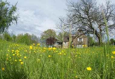 Ferienhaus in LES EYZIES DE TAYAC SIREUIL (Dordogne) oder Ferienwohnung oder Ferienhaus