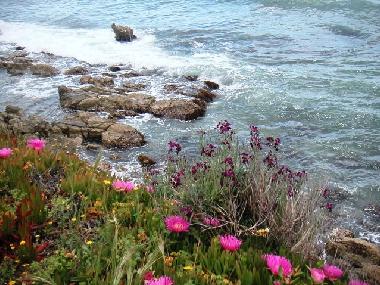 Ferienhaus in Scicli (Ragusa) oder Ferienwohnung oder Ferienhaus