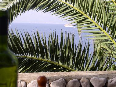 Ferienhaus in TRPANJ (Dubrovacko-Neretvanska) oder Ferienwohnung oder Ferienhaus