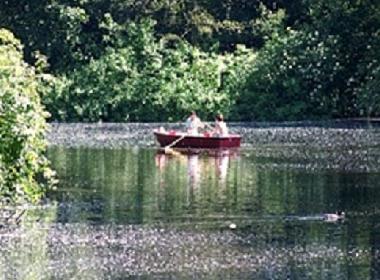 Ferienwohnung in Berlin (Mitte) oder Ferienwohnung oder Ferienhaus