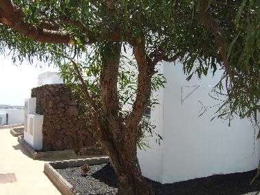 Ferienwohnung in YAIZA (Lanzarote) oder Ferienwohnung oder Ferienhaus