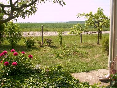 Ferienhaus in Fornadpuszta (Tolna) oder Ferienwohnung oder Ferienhaus