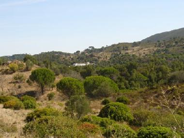 Pension in Palmela (Pen�nsula de Set�bal) oder Ferienwohnung oder Ferienhaus
