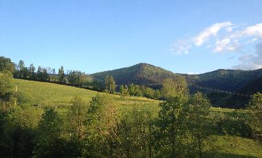 Ausblick zum Braunhrnle