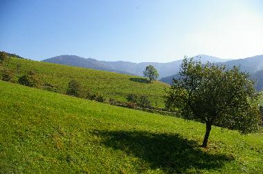 Fernblick zum Hausberg 