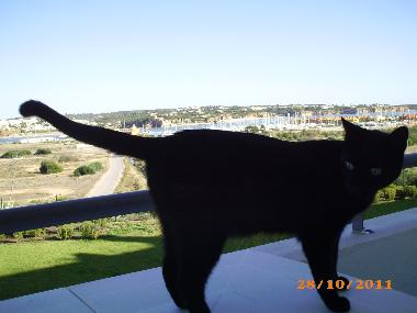Ferienwohnung in Praia da Rocha (Algarve) oder Ferienwohnung oder Ferienhaus