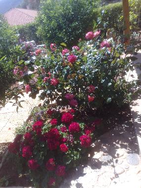 Ferienhaus in Porto Rafti (Attiki) oder Ferienwohnung oder Ferienhaus