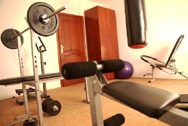 Villa in Podgorica (Montenegro) oder Ferienwohnung oder Ferienhaus