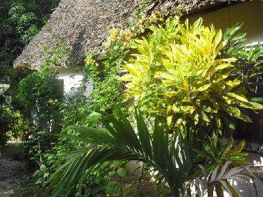 Ferienwohnung in Kikambala (Coast) oder Ferienwohnung oder Ferienhaus