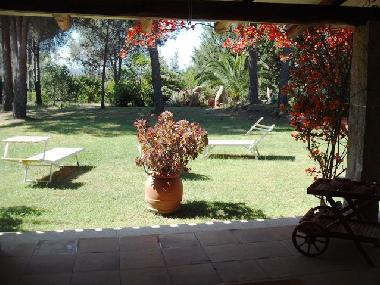 Blick in den Garten mit Sonnenliegen