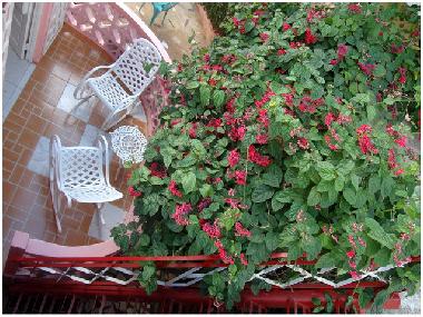 Pension in ViÃ±ales (Pinar del Rio) oder Ferienwohnung oder Ferienhaus