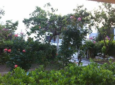 Ferienwohnung in SARONIDA (Attiki) oder Ferienwohnung oder Ferienhaus