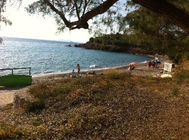 Ferienwohnung in SARONIDA (Attiki) oder Ferienwohnung oder Ferienhaus