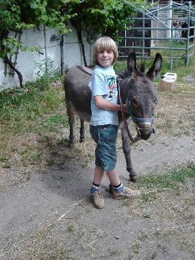 Ferienhaus in Nackel (Ostprignitz-Ruppin) oder Ferienwohnung oder Ferienhaus