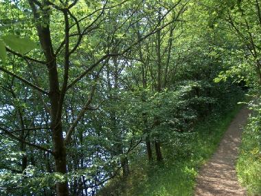 Ferienwohnung in Manderfeld (Wallonien) oder Ferienwohnung oder Ferienhaus