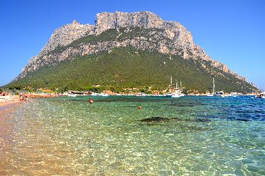 Ferienwohnung in Olbia (Olbia-Tempio) oder Ferienwohnung oder Ferienhaus