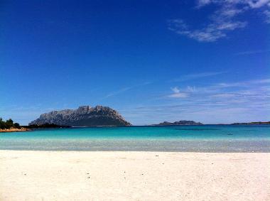 Ferienwohnung in Olbia (Olbia-Tempio) oder Ferienwohnung oder Ferienhaus