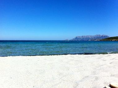 Ferienwohnung in Olbia (Olbia-Tempio) oder Ferienwohnung oder Ferienhaus