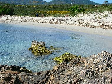 Ferienwohnung in Olbia (Olbia-Tempio) oder Ferienwohnung oder Ferienhaus