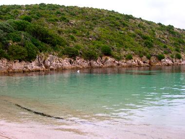 Ferienwohnung in Olbia (Olbia-Tempio) oder Ferienwohnung oder Ferienhaus