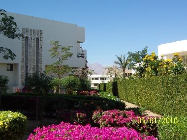 Ferienwohnung in Sharm el Sheikh (Janub Sina