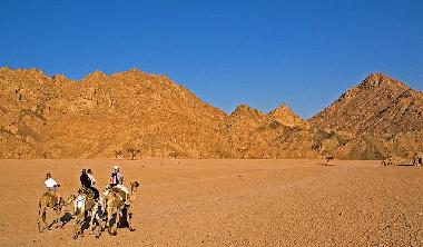 Ferienwohnung in Sharm el Sheikh (Janub Sina