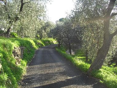 Ferienwohnung in San Bartolomeo al Mare (Imperia) oder Ferienwohnung oder Ferienhaus