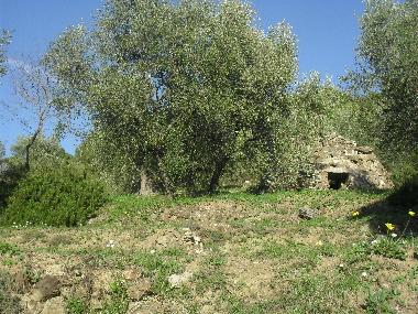 Ferienwohnung in San Bartolomeo al Mare (Imperia) oder Ferienwohnung oder Ferienhaus