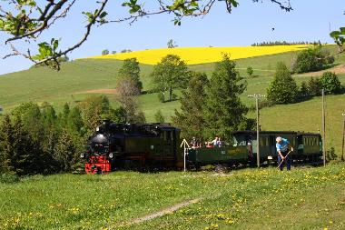 Ferienwohnung in Sehmatal  Neudorf (Erzgebirge) oder Ferienwohnung oder Ferienhaus
