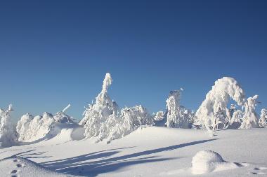 Ferienwohnung in Sehmatal  Neudorf (Erzgebirge) oder Ferienwohnung oder Ferienhaus