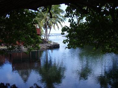 Ferienhaus in Pahoa (Hawaii) oder Ferienwohnung oder Ferienhaus
