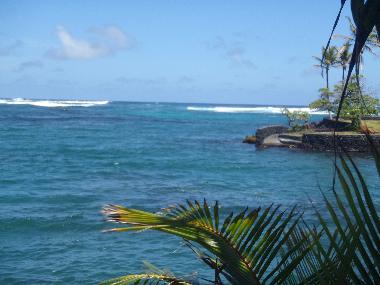 Ferienhaus in Pahoa (Hawaii) oder Ferienwohnung oder Ferienhaus
