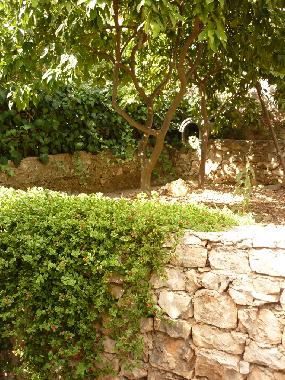 Ferienwohnung in Seget Vranjica (Splitsko-Dalmatinska) oder Ferienwohnung oder Ferienhaus