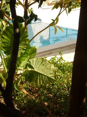 Ferienwohnung in Seget Vranjica (Splitsko-Dalmatinska) oder Ferienwohnung oder Ferienhaus